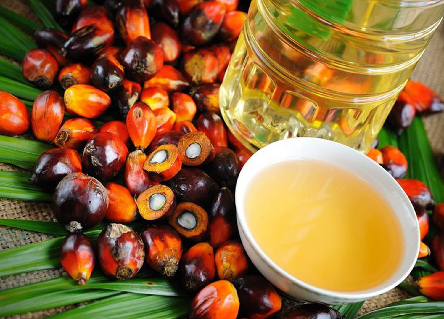 Pemeriksaan 2 Saksi Terkait Perkara Ekspor Crude Palm Oil (CPO) dan Turunannya oleh Kejaksaan Agung