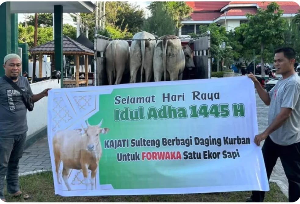 KEJATI KURBAN 11 EKOR SAPI DAN TERSALURKAN 832 KG DAGING