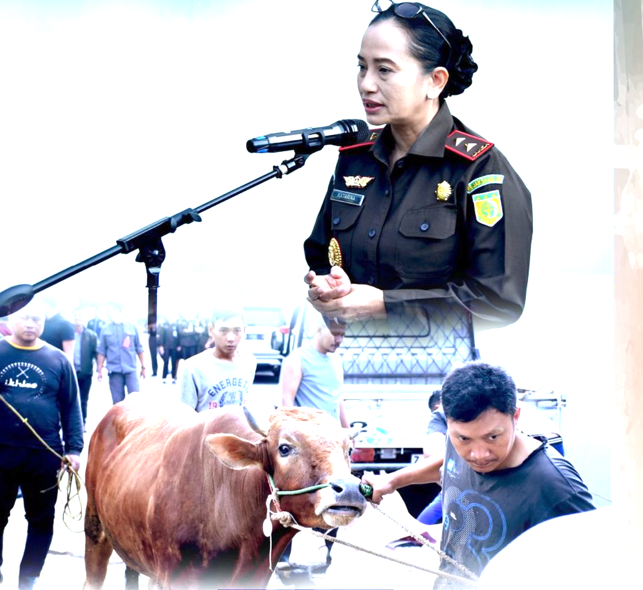 Kegiatan Pemotongan Hewan Qurban di Kejati Jabar